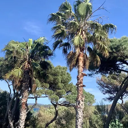 Pinede Vue Mer, Piscine, Climatisation Hyères