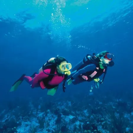 Pinede Vue Clim Jacuzzi * 耶尔