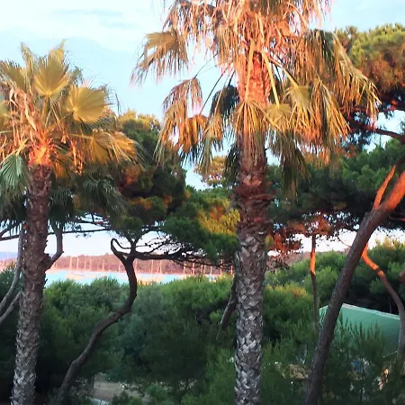 Pinede Vue Clim Jacuzzi 公寓