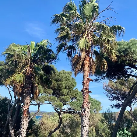 Pinede Vue Mer, Piscine, Climatisation * Hyères