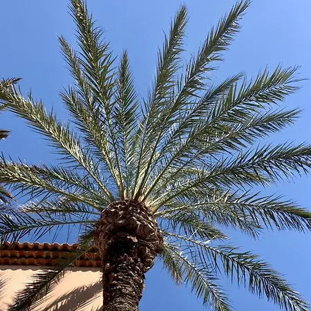 Pinede Vue Mer, Piscine, Climatisation شقة *