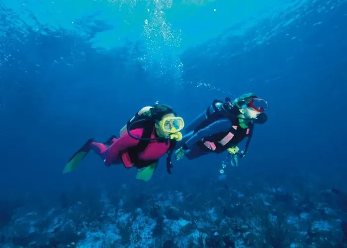 Pinede Vue Acces Direct A La De La Badine Clim Jacuzzi Piscine * Hyères