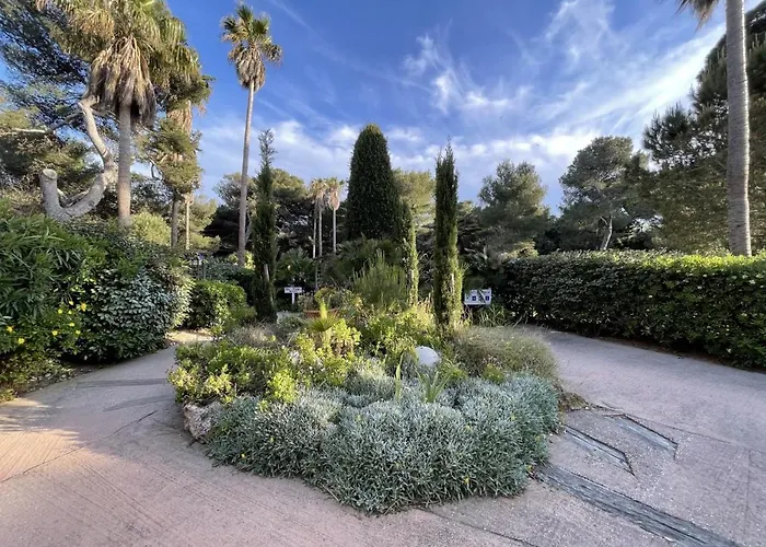 Pinede Vue Acces Direct A La De La Badine Clim Jacuzzi Piscine *