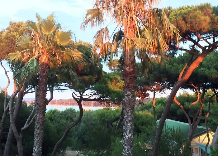 Pinede Vue Acces Direct A La De La Badine Clim Jacuzzi Piscine Lägenhet